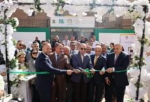 البنك الأهلي المصري