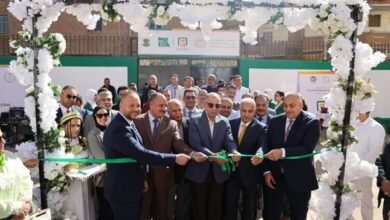 البنك الأهلي المصري