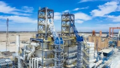 الدلتا للسكر