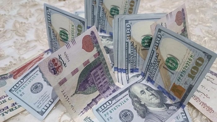 سعر الدولار مقابل الجنيه