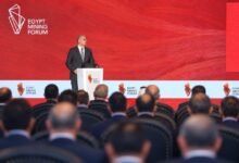 وزارة البترول والثروة المعدنية