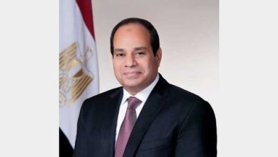 الرئيس السيسي