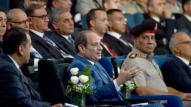 فخامة الرئيس السيسى