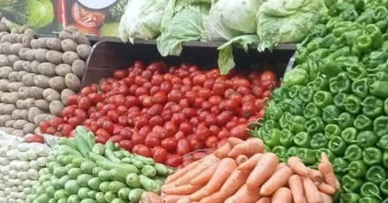 إنتاج مصر من الخضروات