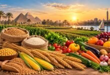 ارتفاع متوسط نصيب الفرد