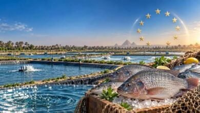 الاستزراع السمكي المصري